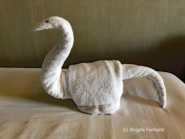 towel dinosaur