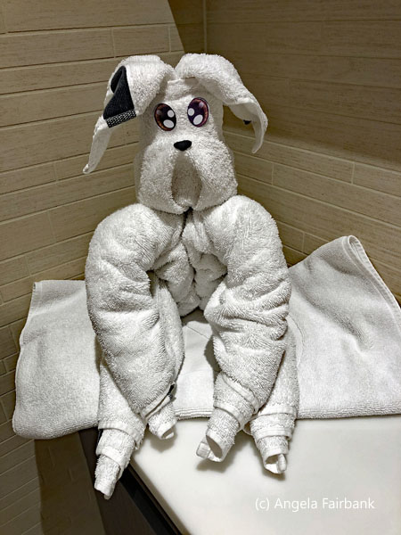 towel dog
