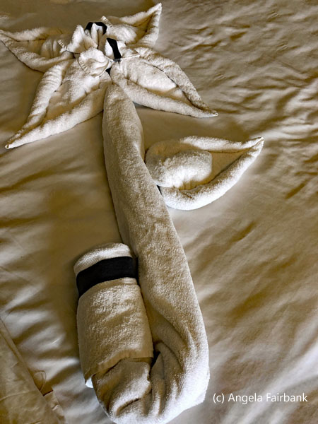 towel flower 2