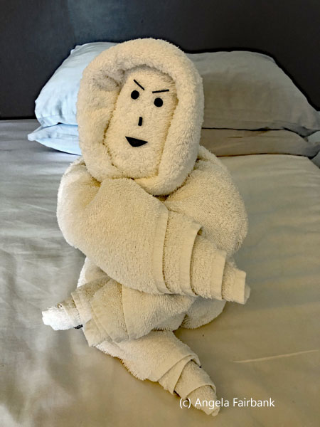 towel inuit