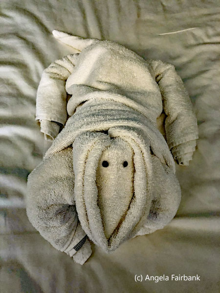 towel komodo