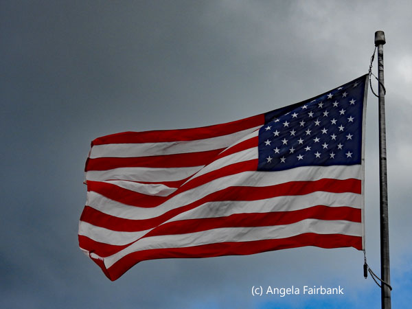 usa flag