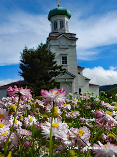 diasies and church