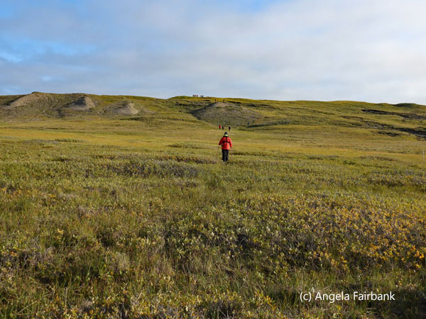 person in red coat walking across the field