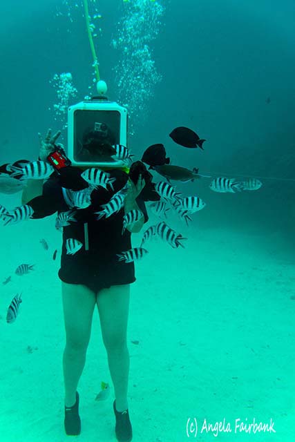 Helmet dive, Bora Bora, French Polynesia, copyright Angela Fairbank