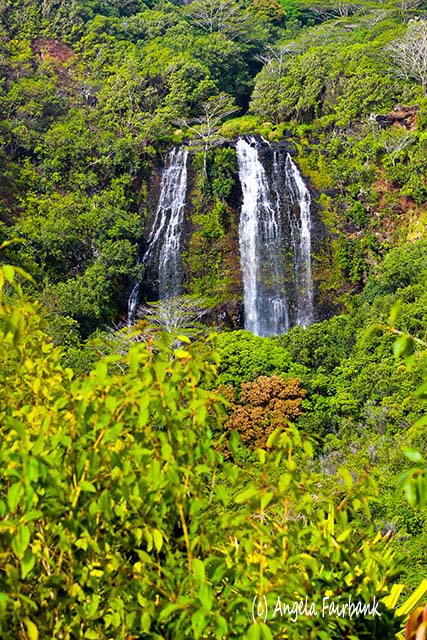 Wailua Falls, Kauai, Hawaii, copyright Angela Fairbank