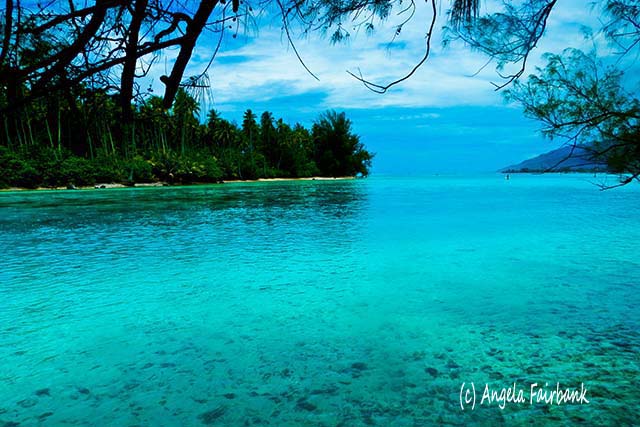 Lagoon, Moorea, French Polynesia, copyright Angela Fairbank